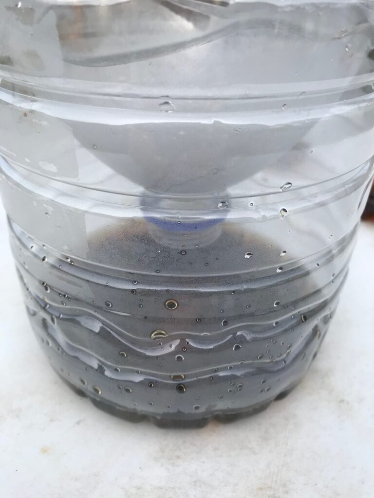 Close -up of the Wasp Trap