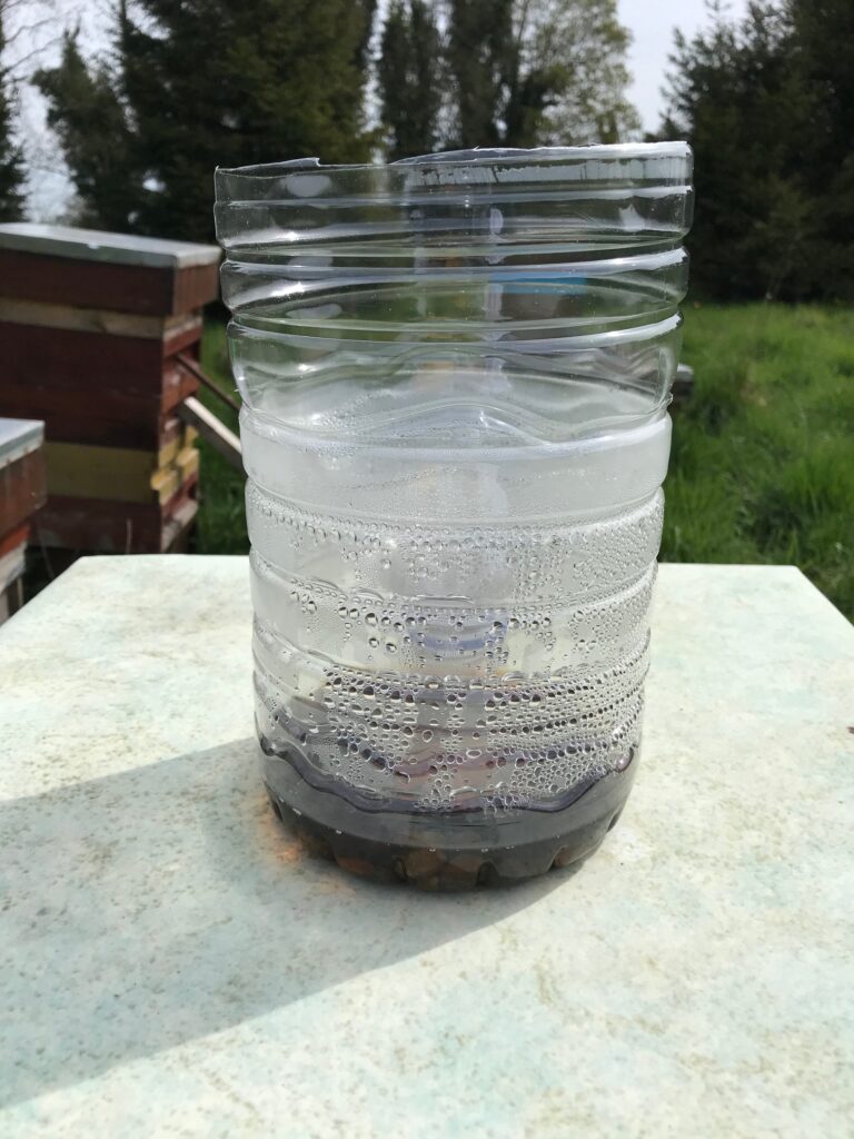 The Trap With its Attractant (Bait) in the Garden