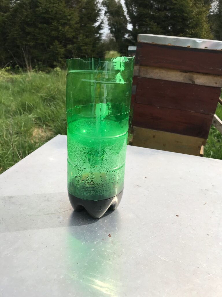 A Second Trap. This One Uses a Green Bottle
