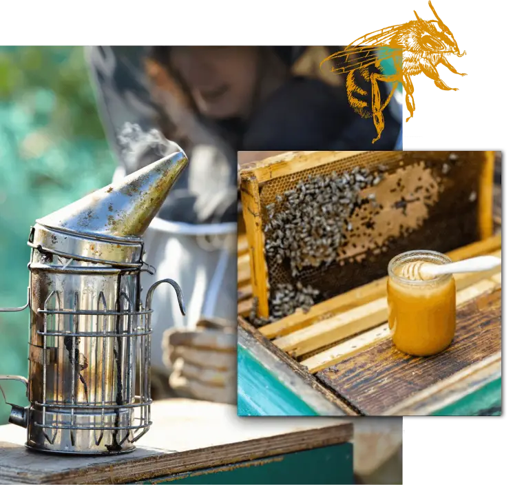 Smoker - Beekeeper - Honey - Beehive